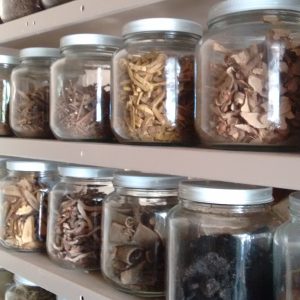 The Chinese herbal apothecary used by DOM at Ancient Wisdom Healing Arts, Acupuncture and Chinese Herbal Clinic, in Santa Fe, NM.